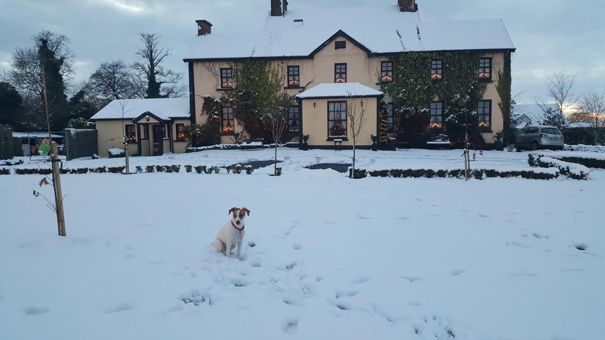 Charlotte'S Way B&B Banagher Zewnętrze zdjęcie