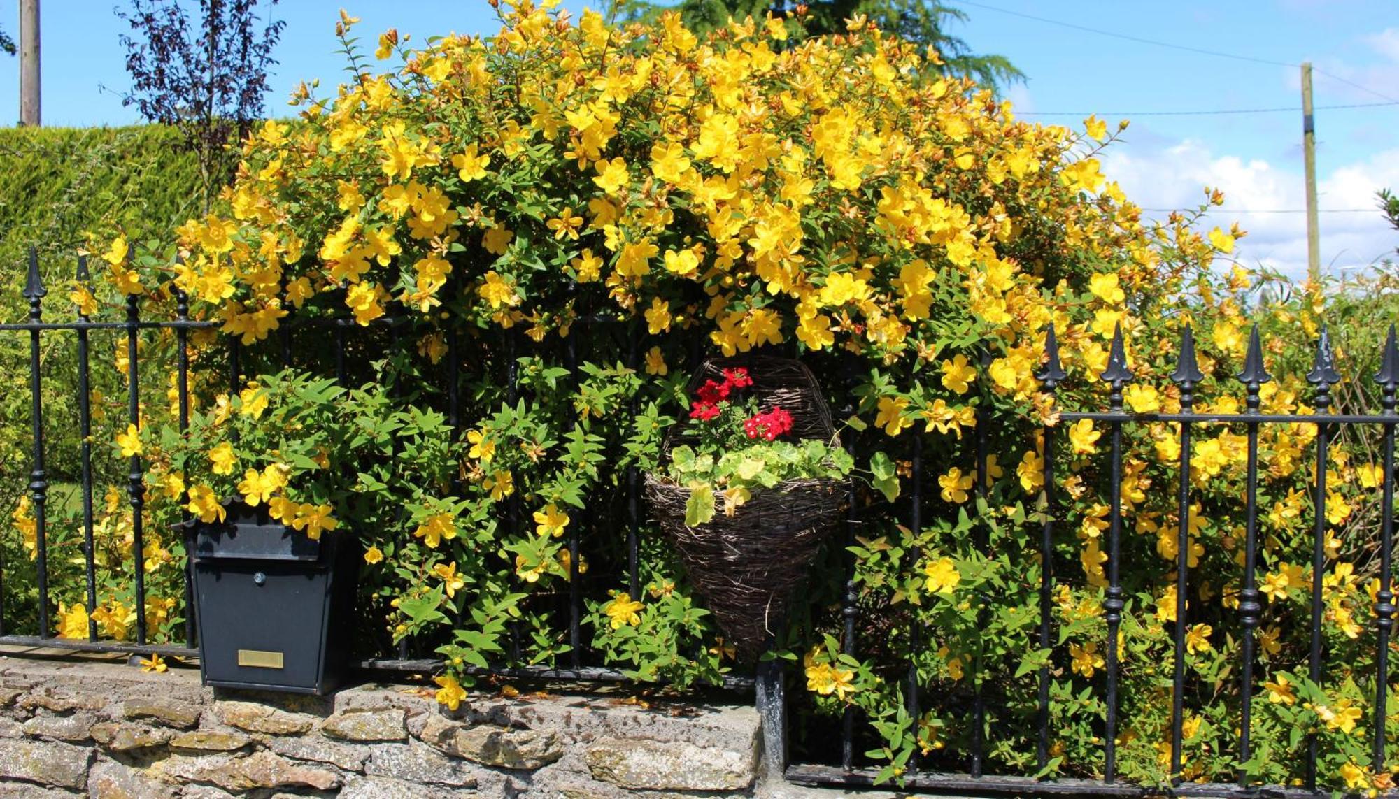 Charlotte'S Way B&B Banagher Zewnętrze zdjęcie